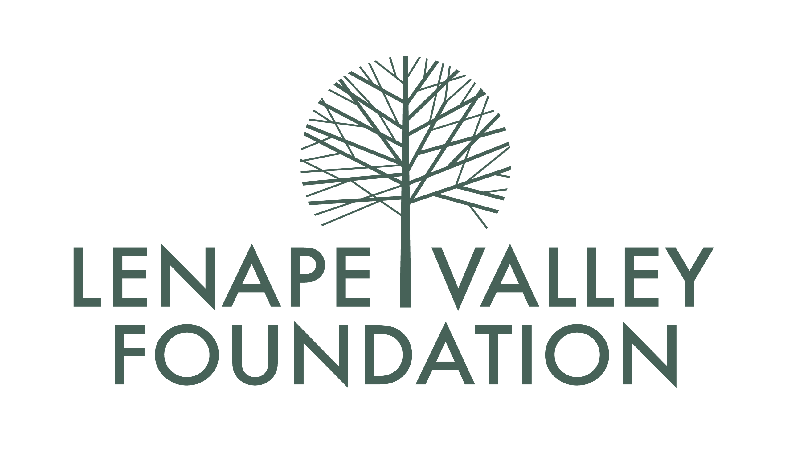 Lenape Valley Foundation